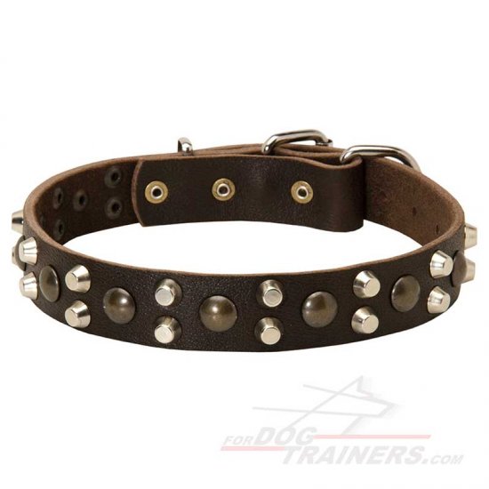Neapolitan Mastiff Dog Collar Design with Studs and Pyramids