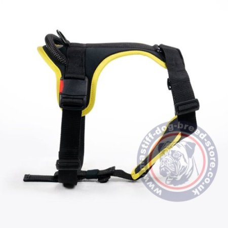 The Best Mastiff Harness for Large Chested Dogs