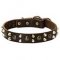 Neapolitan Mastiff Dog Collar Design with Studs and Pyramids