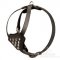 Small Dog Harness for Mastiff Puppies Style, Studded Leather