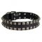 Cane Corso Dog Collar Studded with Caterpillar Rivets