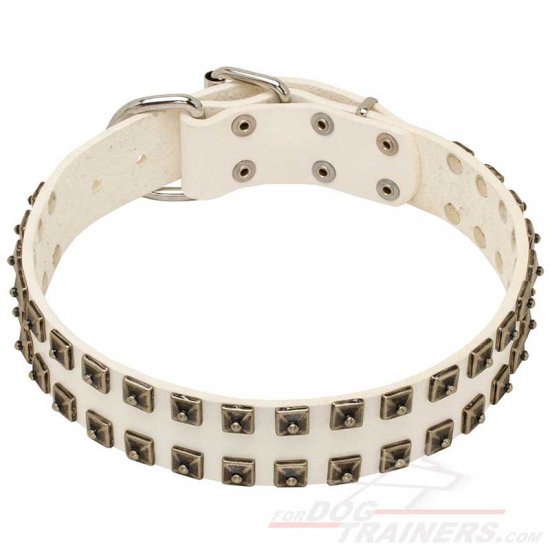 White Studded Dog Collar for Bullmastiff for Sale