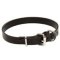 Leather Dog Collar 1 inch Wide | Classic Dog Collar with Buckle for Mastiff