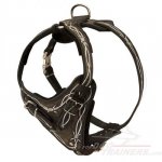 Designer Dog Harness for for Mastiff Training 'Barbed Wire'