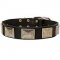 Neapolitan Mastiff Collar with Steel Plates and Classic Buckle