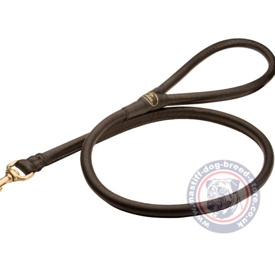 Round Leash with Strong Cord Inside and Handle for Mastiff and Big Dogs