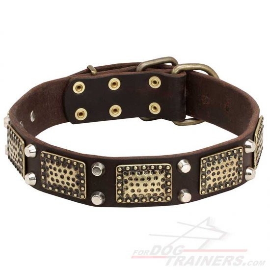 Cane Corso Leather Dog Collar with Elegant Plates and Cones