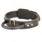 Big Dog Collars of 2 Ply Thick Leather with Handle for Boerboel Mastiff Training