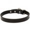 Best Walking Collar For Great Dane "Noble Pet"