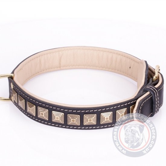 Mastiff Dog Collar "Pyramid" With Brass Adornment
