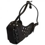 K9 Dog Muzzle Mastiff Size for Agitation Training and Police Dogs