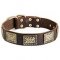 Luxury Leather Dog Collars - Original Style for Your Mastiff!