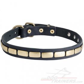 Handmade Dog Collar of Brass Studded Design for Neapolitan Mastiff