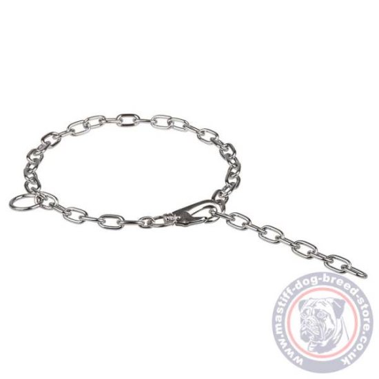 Mastiff Chain Collar with Lock, Glossy Chrome-Plated Steel