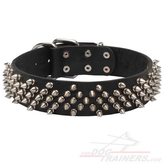 Wide Dog Collar with Spikes for Mastiff
