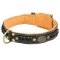 Fancy Dog Collars for Large Dogs Braided Mastiff Collar