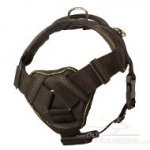 Dog Control Harness for Mastiff with Chest Plate and Handle