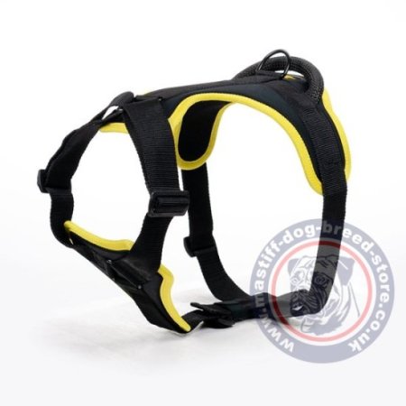 The Best Mastiff Harness for Large Chested Dogs