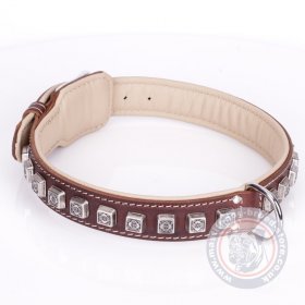 Best Dog Collar For Mastiff With Silver-Like Studs "Cube"