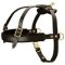 Mastiff Harness for Pulling, Tracking, Sport and Walking
