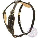 Mastiff Dog Harness with Softest Nappa Lining and Brass Studs