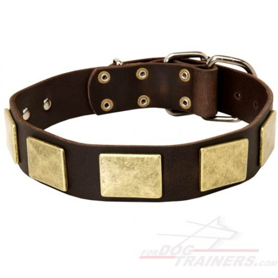 Large Breed Dog Collars for Mastiff Dogs with Massive Nickel Plates
