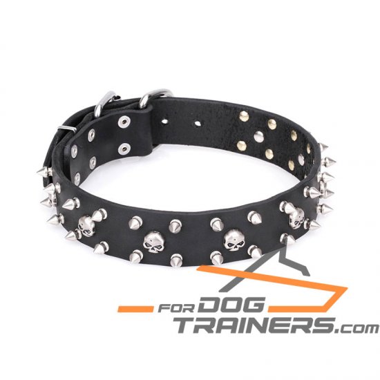 Mastiff Dog Collar with Spikes and Skulls on Genuine Leather