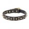 Dog Collar Designs Stardust for Mastiff Breeds