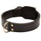 Extra Large Dog Collar Mastiff Size XXL Dog Collar