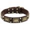 Cane Corso Leather Dog Collar with Elegant Plates and Cones