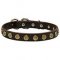 Designer Dog Collar with Dotted Studs for Neapolitan Mastiff