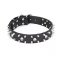 Mastiff Dog Collar with Spikes and Skulls on Genuine Leather