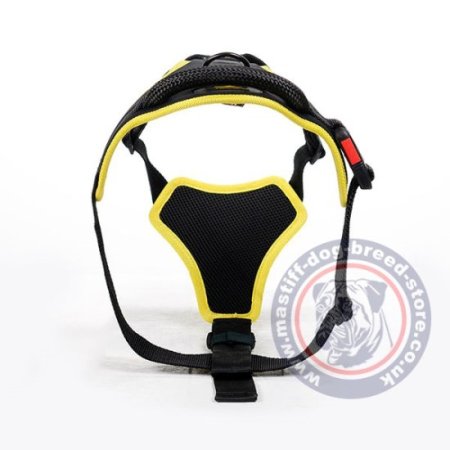 The Best Mastiff Harness for Large Chested Dogs