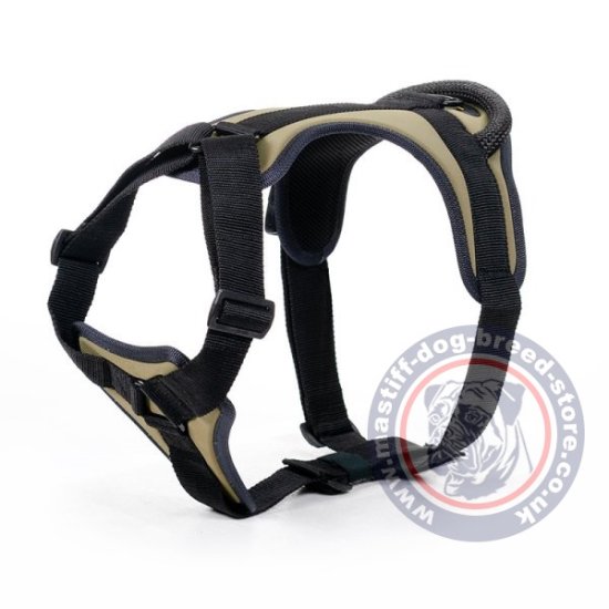 The Best Mastiff Harness for Large Chested Dogs