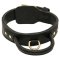 Mastiff Dog Collar with Handle for Effective Dog Training