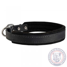 Training Collar For Great Dane "Walk The Rounds"