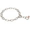 Herm Sprenger Stainless Steel Choke Chain Collar for Mastiff, 3 mm Gauge