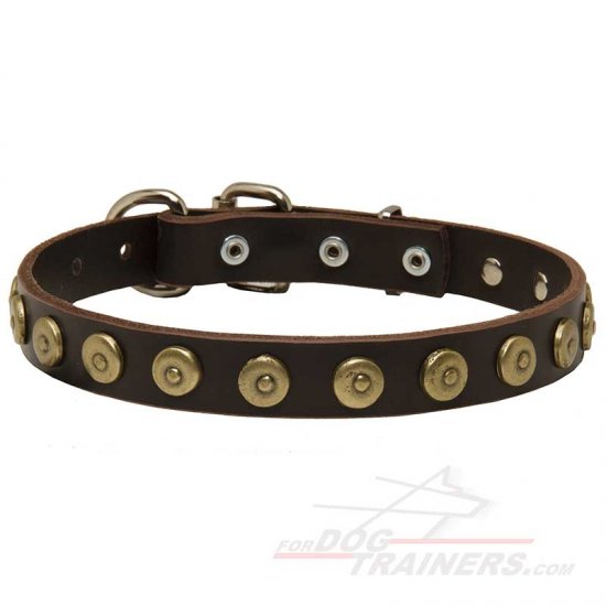 Designer Dog Collar with Dotted Studs for Neapolitan Mastiff