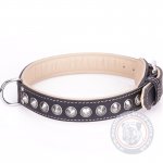 Dog Collar For Mastiff "Cone"