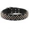 Wide Dog Collar with Spikes for Mastiff