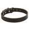 Neapolitan Mastiff Collar 1.2 In Wide Leather