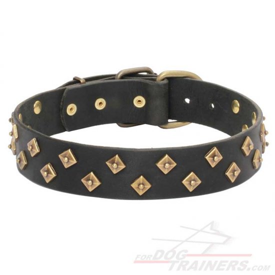 Mastiff Collars with Brass Diamonds