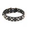 Mastiff Spiked Collars for Big Dogs with Brass Skulls