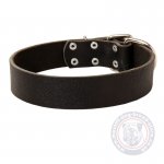 Large Black Leather Dog Collar with Buckle Closure for Mastiffs