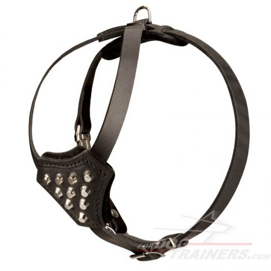 Small Dog Harness for Mastiff Puppies Style, Studded Leather