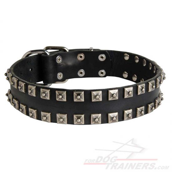 Cane Corso Dog Collar Studded with Caterpillar Rivets