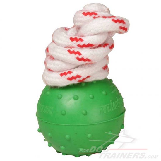 Mastiff Puppy Toy on Rope for Outdoors and Water Games