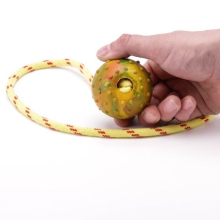 Solid Rubber Ball for Dogs 2.3 In on String