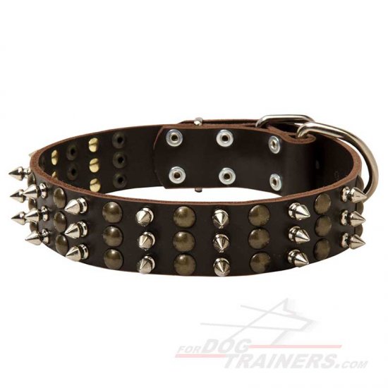 Cane Corso Leather Dog Collar Spiked Fashion