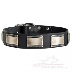Handmade Leather Dog Collars with Elegant Silver Plates